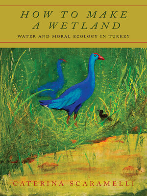 cover image of How to Make a Wetland